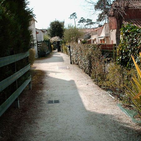 Les Pins Ensoleilles Apartment Сен-Жорж-дьо-Дидон Екстериор снимка
